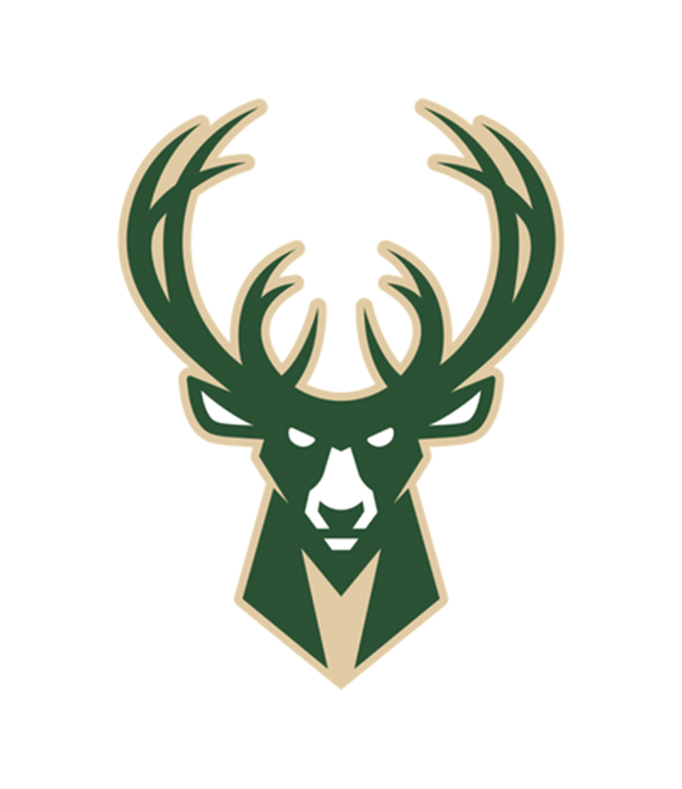 Bling NBA Team Basketballs