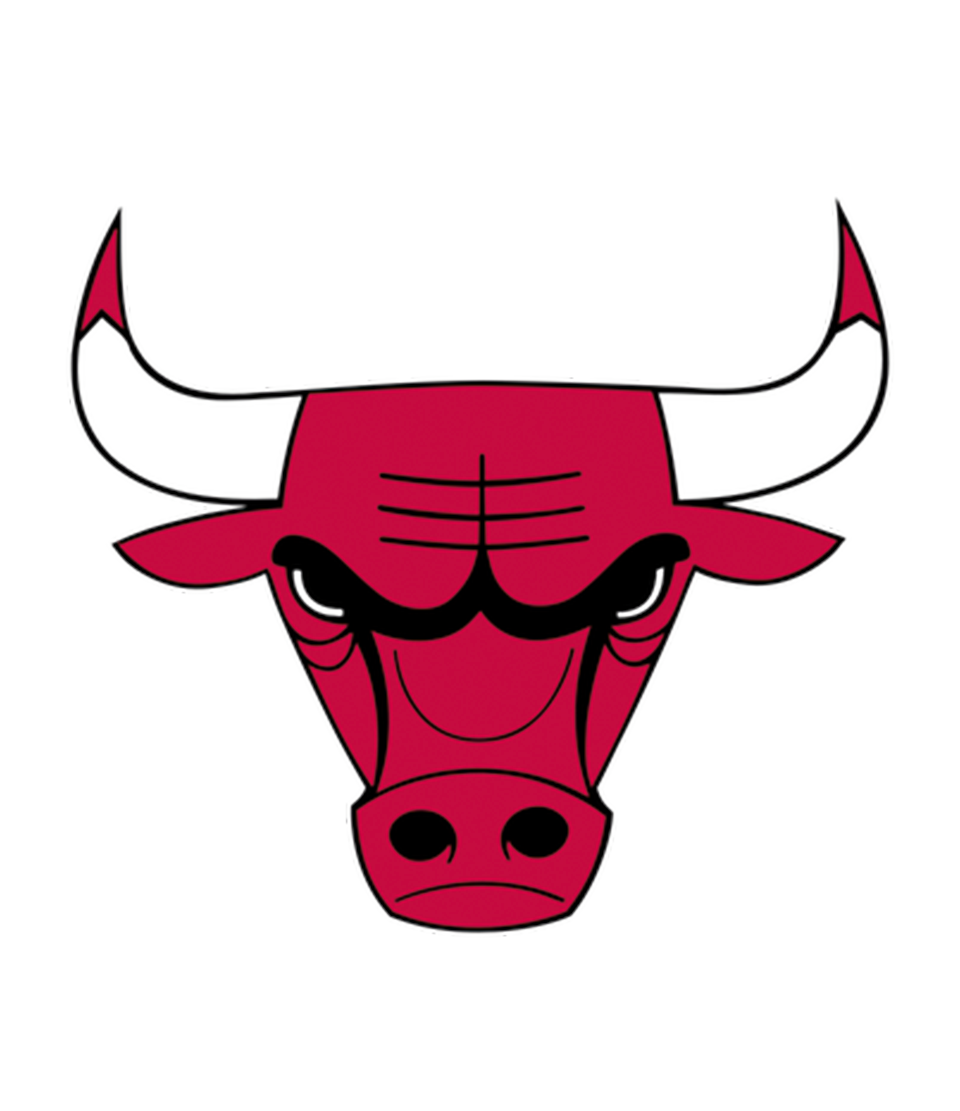 Bling NBA Team Basketballs