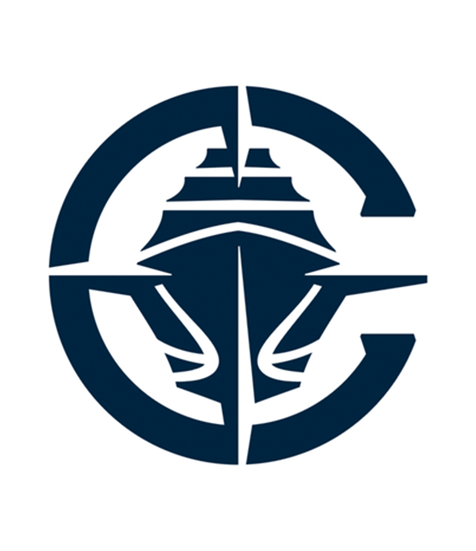 Bling NBA Team Basketballs