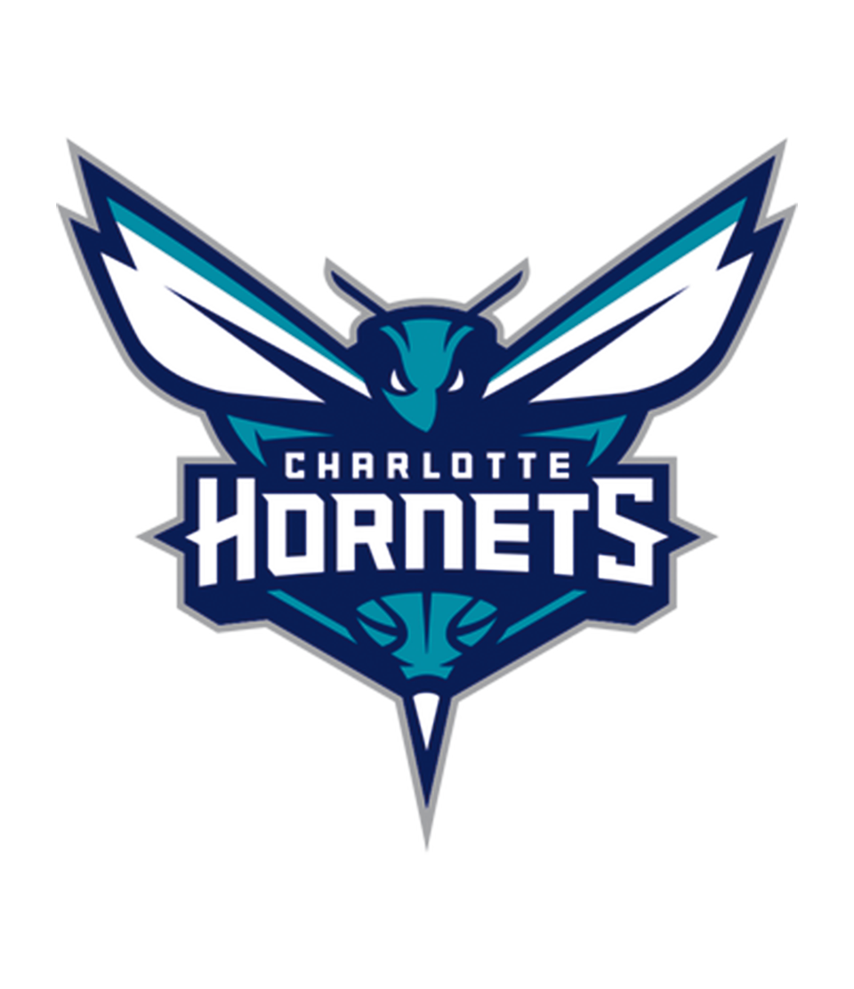 Bling NBA Team Basketballs