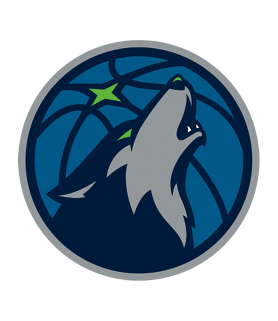 Bling NBA Team Basketballs